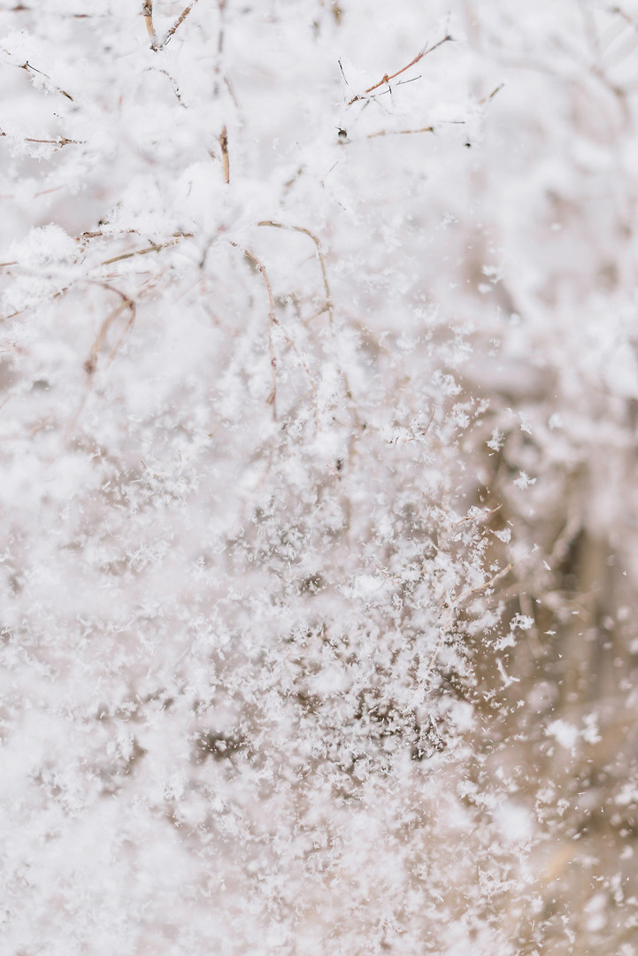 Моя Бабуля Валентина Ильинична. Свадебный и семейный фотограф в Стерлитамаке, Салавате. Илья Антохин