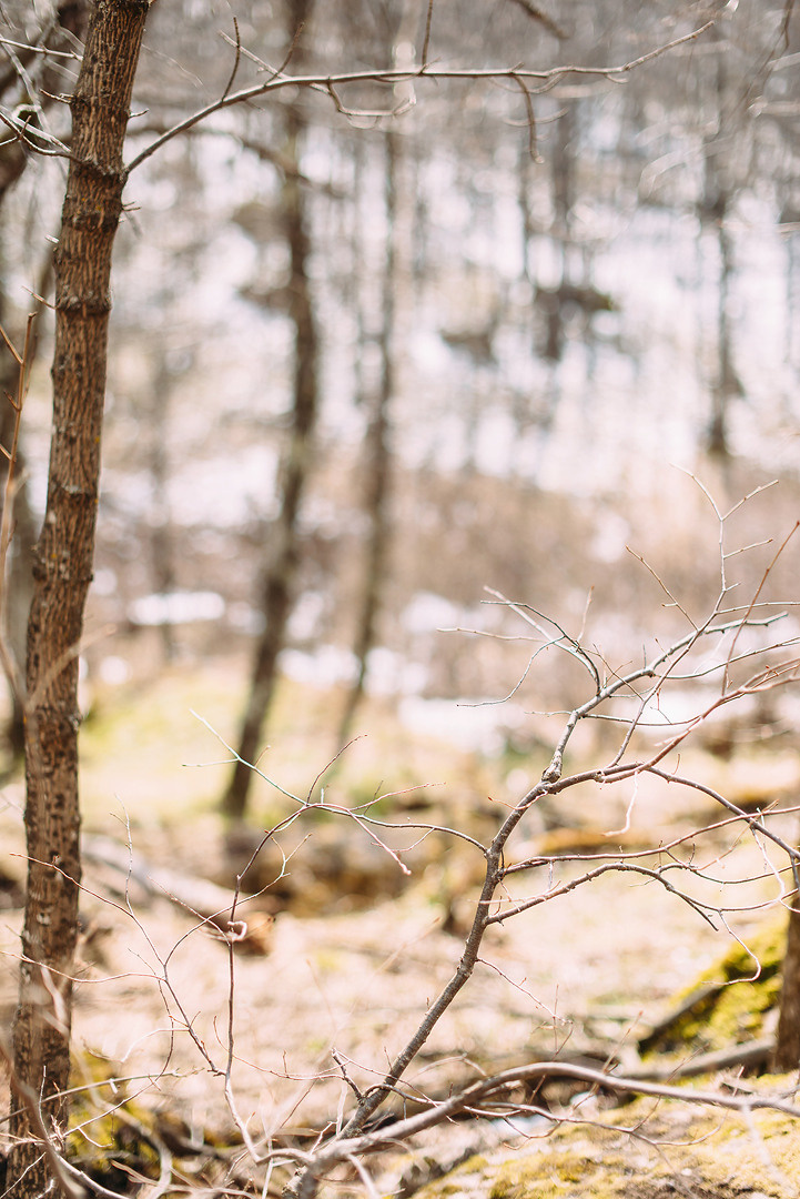 Юрий и Людмила. Свадебный и семейный фотограф в Стерлитамаке, Салавате. Илья Антохин