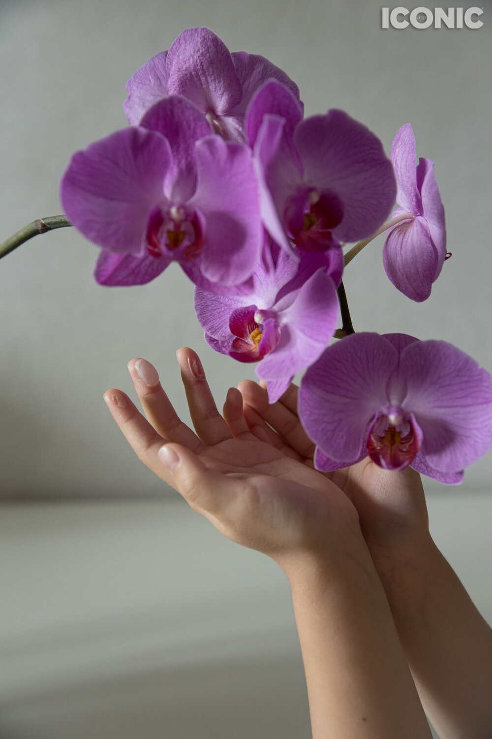 PUBLICATIONS. Фотохудожник Мила Мокина-Хайруллова. Екатеринбург