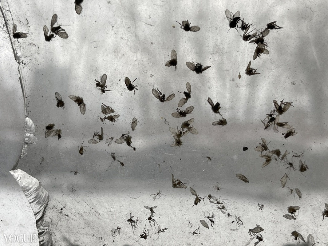 PUBLICATIONS. Фотохудожник Мила Мокина-Хайруллова. Екатеринбург