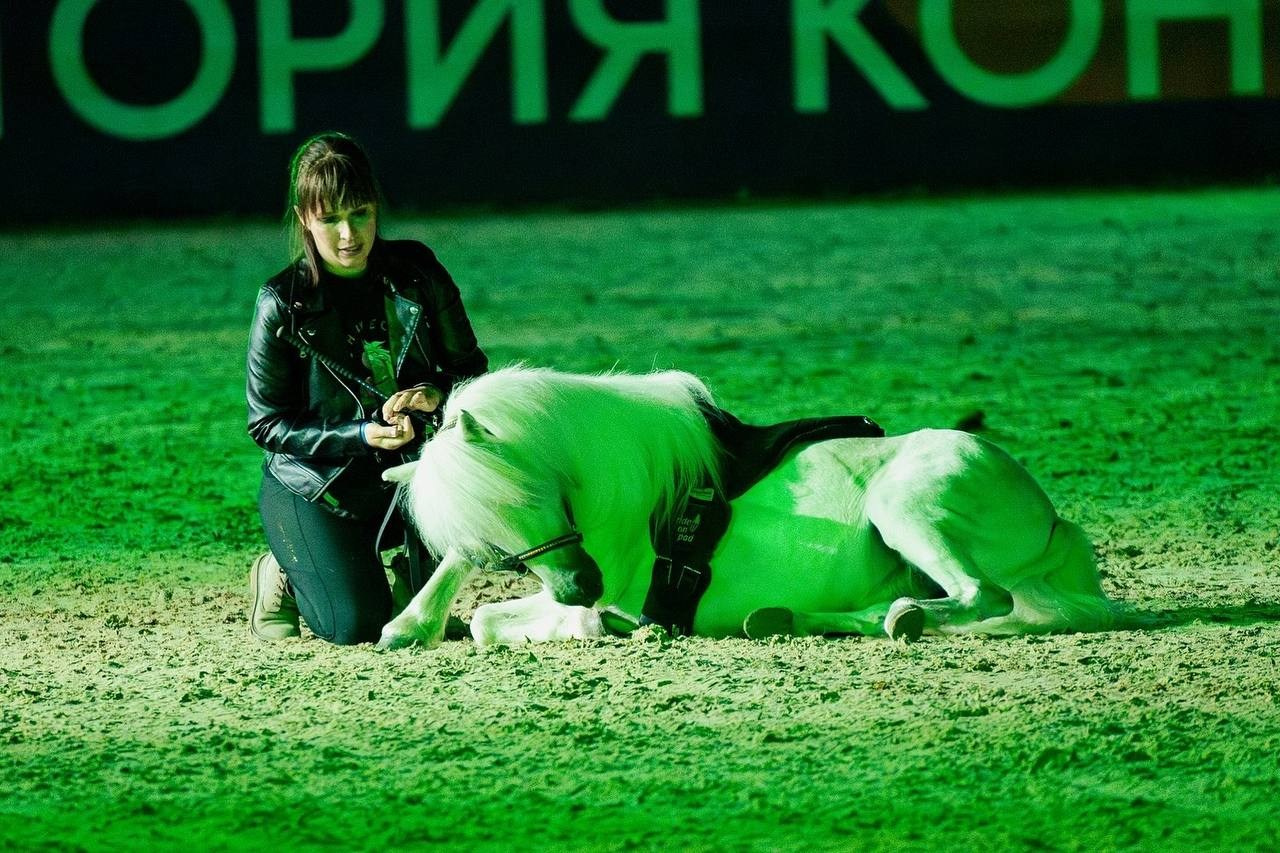 Иваново Поле — 2025. Куракина Дарья • Конный фотограф