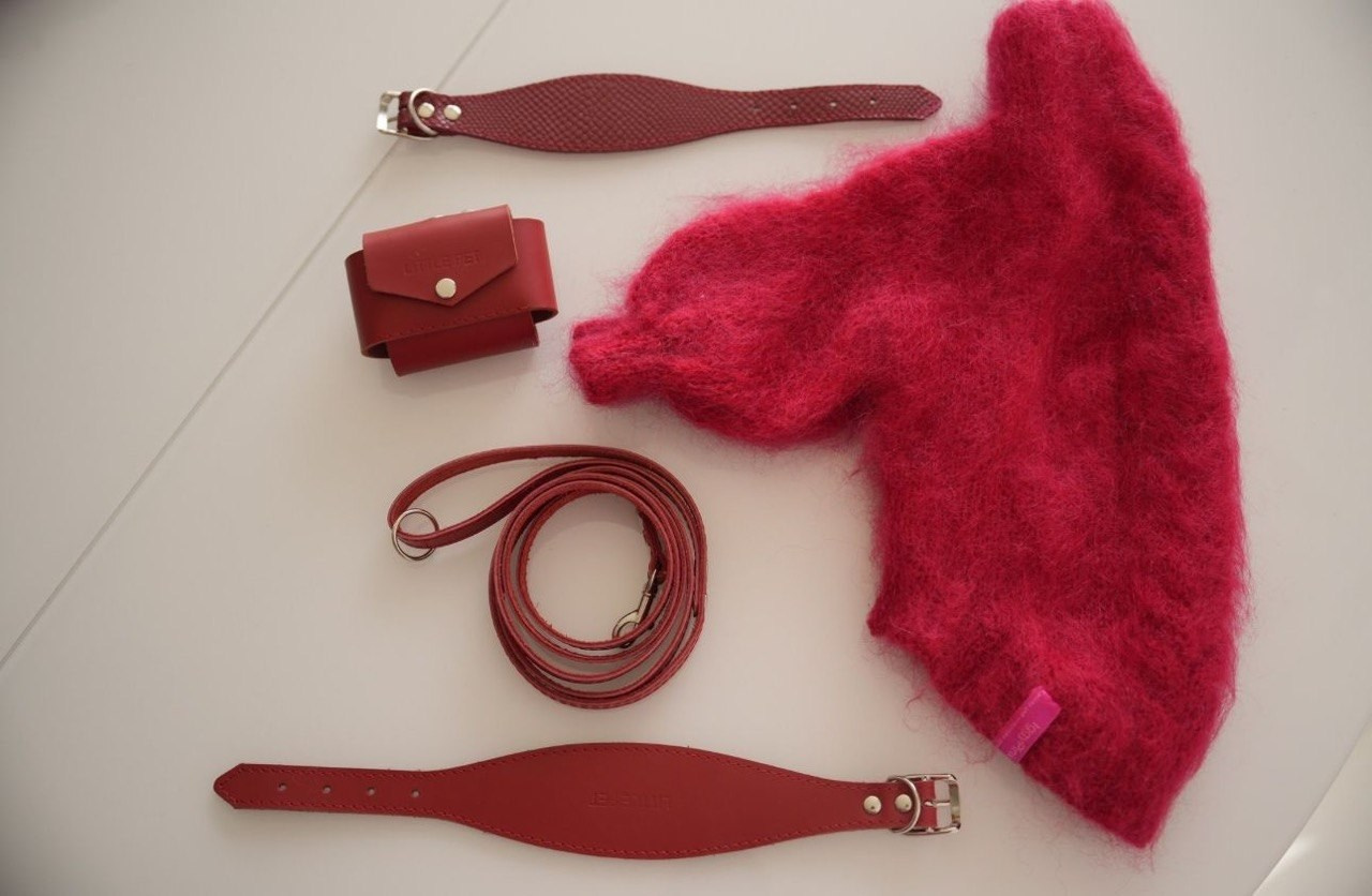 Одежда. Профессиональный питомник левреток РКФ/FCI ASTI SAPPHIRE 💎 Сочи|Санкт-Петербург