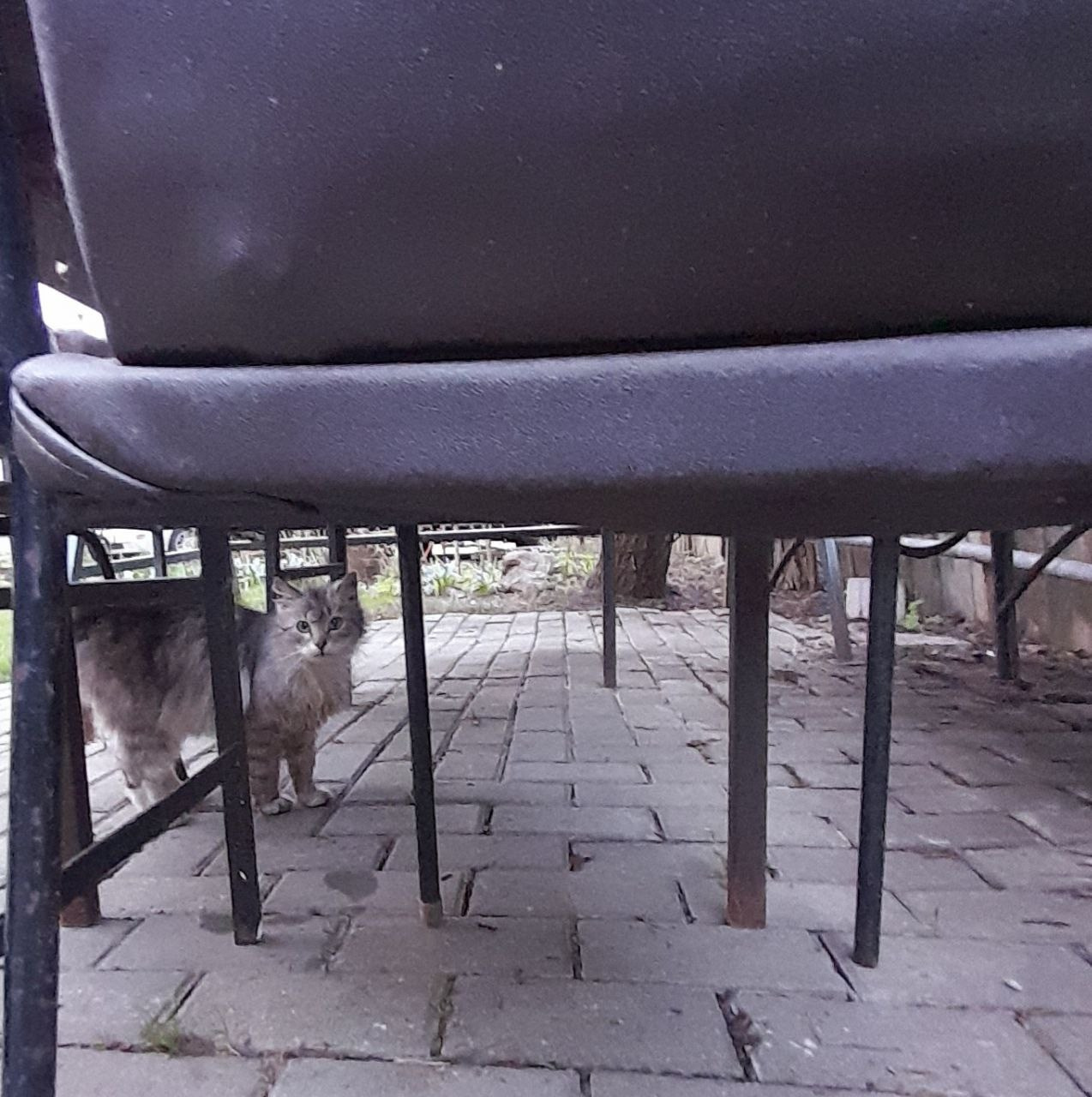 Пасха 2025. Собор Отрасли