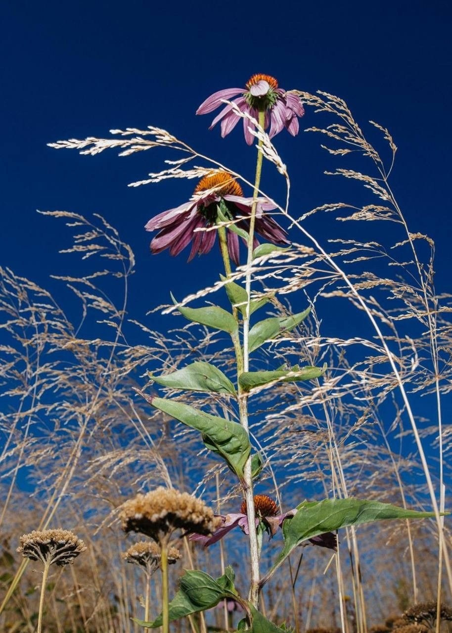 Работы студентов, курс «Вспышки» № 2