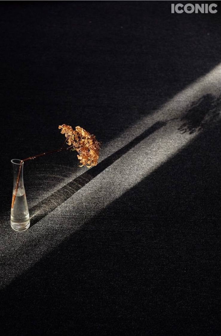 Курс "Композиция". Наталья Жукова. Курсы фотографии