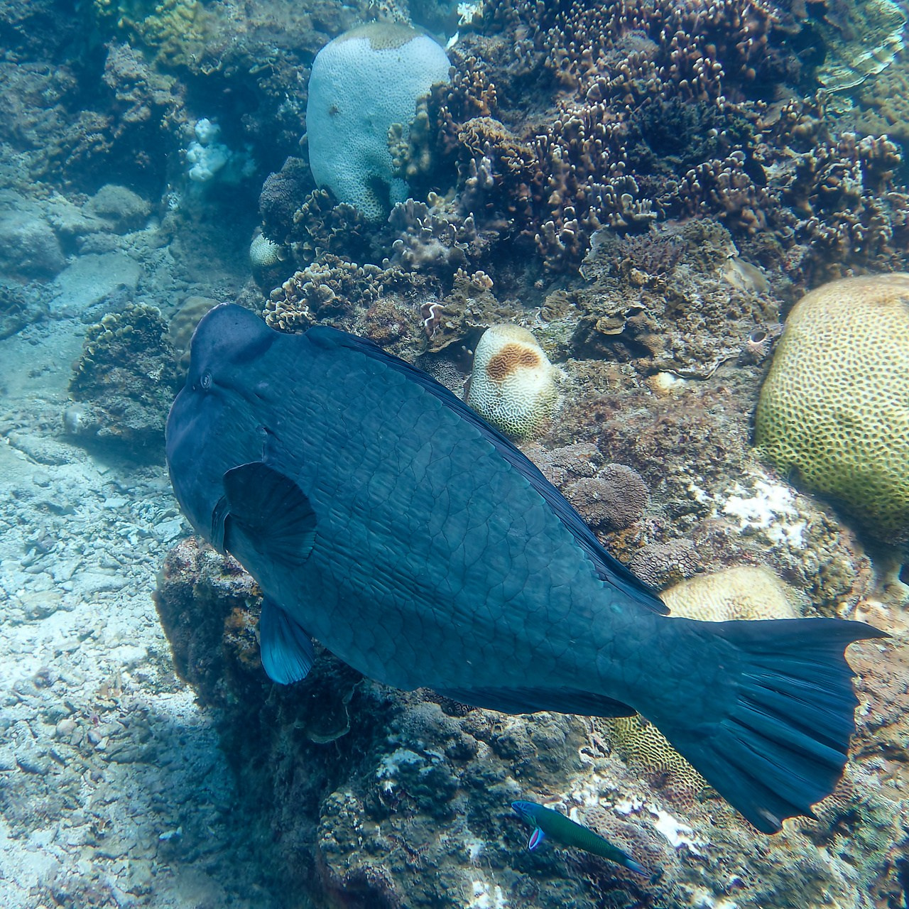 Мне посмотреть. Рыбов показываю