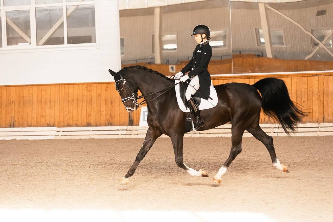 Открытые соревнования по выездке в КСК «Конкорд». Конный фотограф Куракина Дарья • Фотосессии с лошадьми