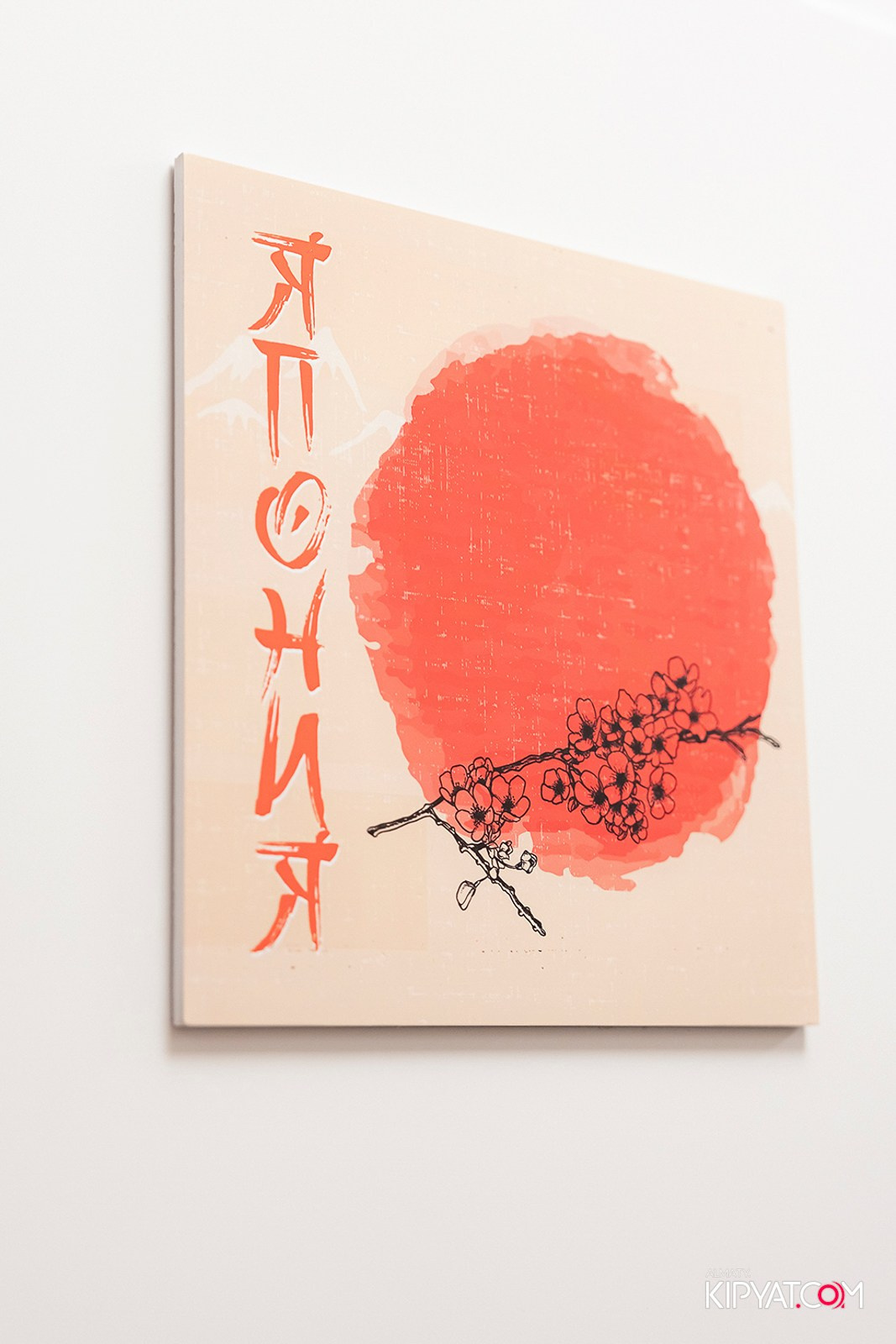 УХО И МЕДВЕДЬ НА ГАГАРИНА. КИПЯТКОМ АЛМАТЫ!