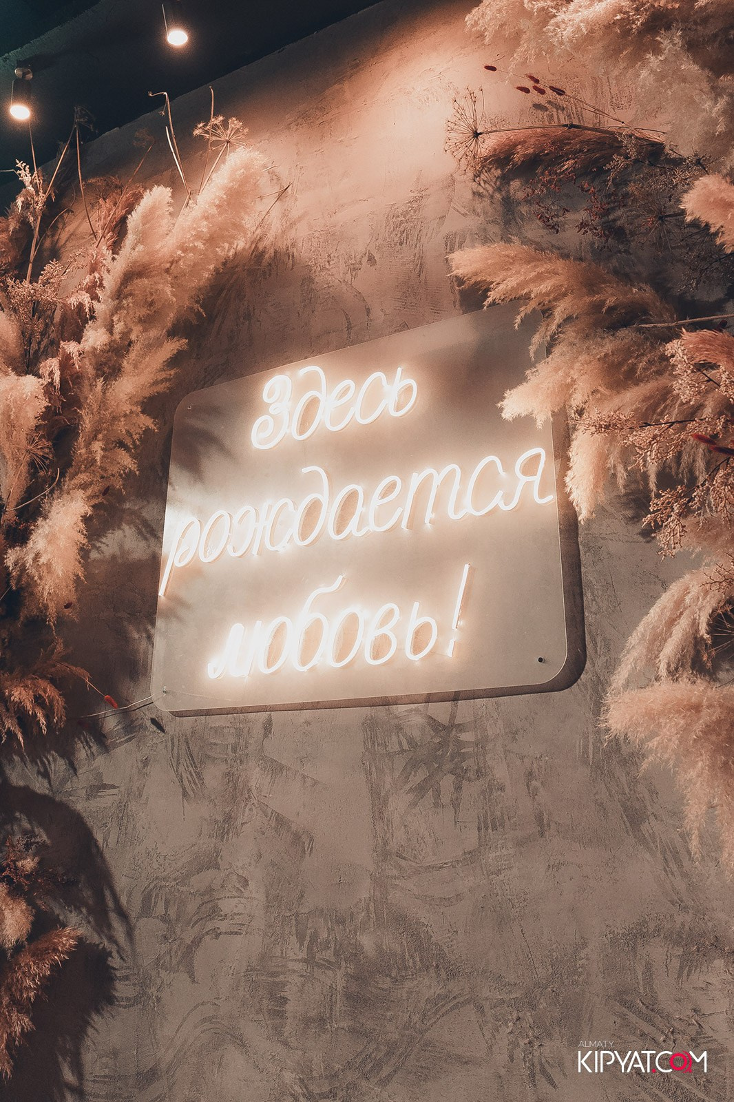 ВЕЧЕРИНКА 2000-Х ШИШКА PREMIUM. КИПЯТКОМ АЛМАТЫ!