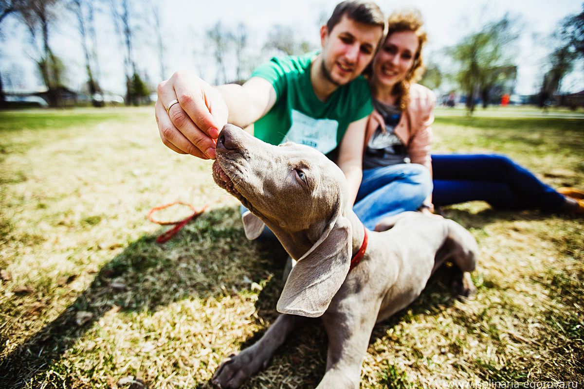 Макс, Оля и Тоби. Фотограф Полина Егорова город Тюмень