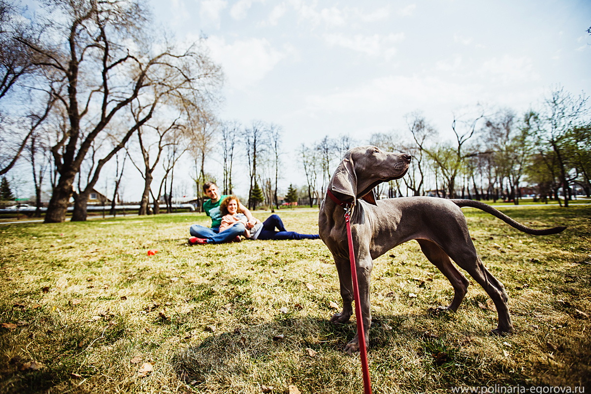 Макс, Оля и Тоби. Фотограф Полина Егорова город Тюмень