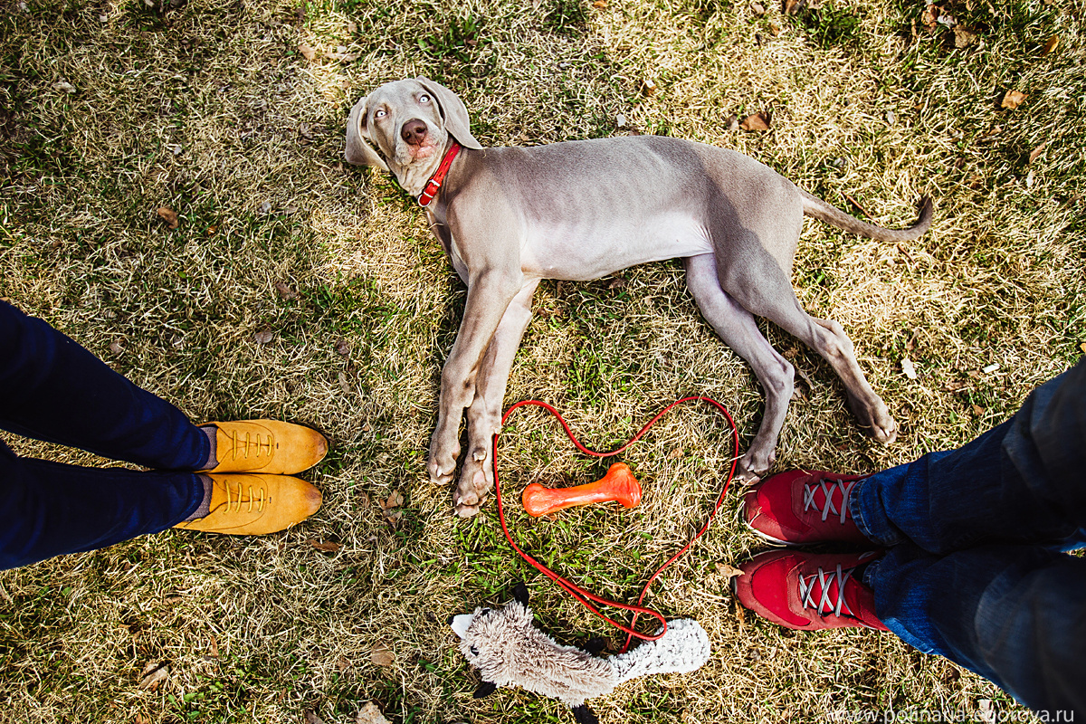 Макс, Оля и Тоби. Фотограф Полина Егорова город Тюмень