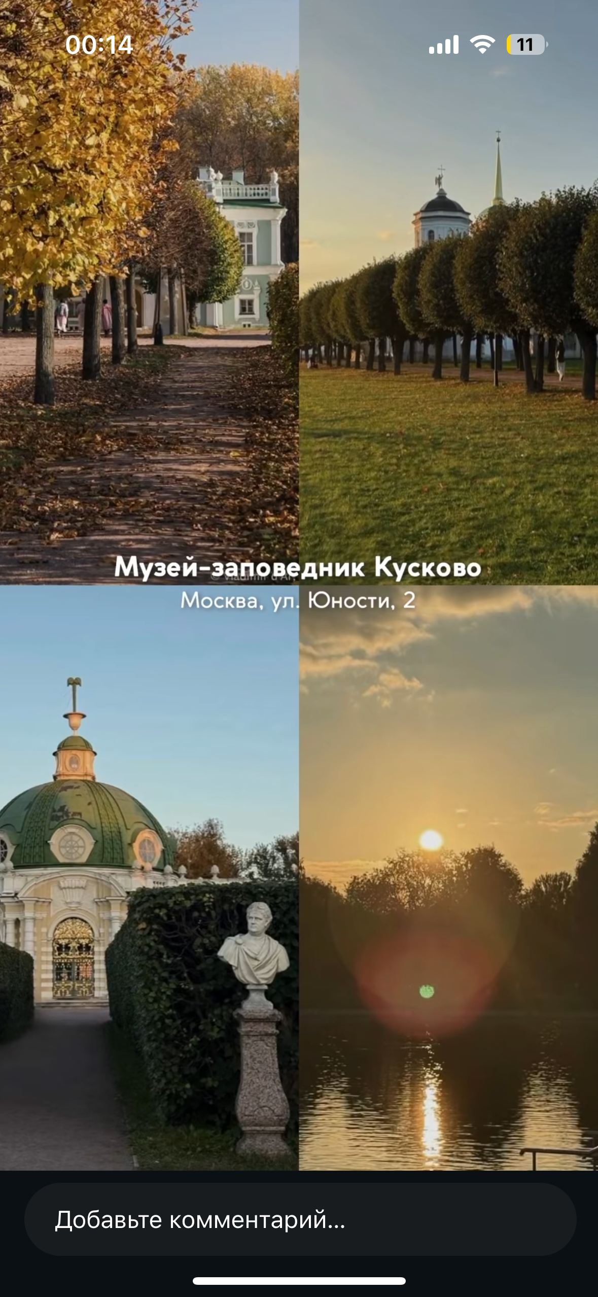 Городские. Фотограф Светлана Мерзлякова