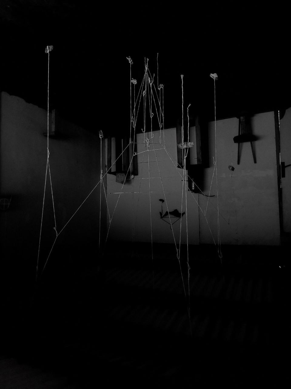 Язык птиц. Данил Андреев, мультидисциплинарный художник, Санкт-Петербург