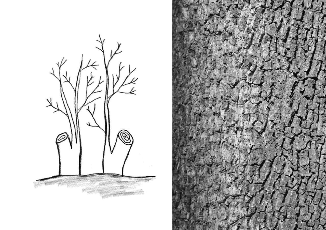 ПЕРСОНАЛЬНЫЙ ЛАБИРИНТ. Художница Екатерина Малышева