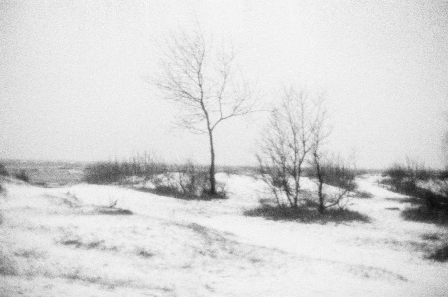 Summer Shore. Vitaly Severov