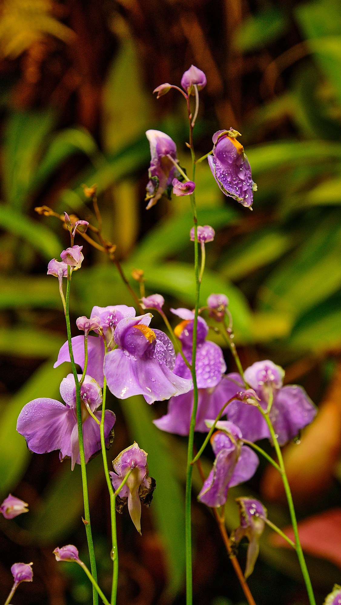Фотоальбом с разными съёмками