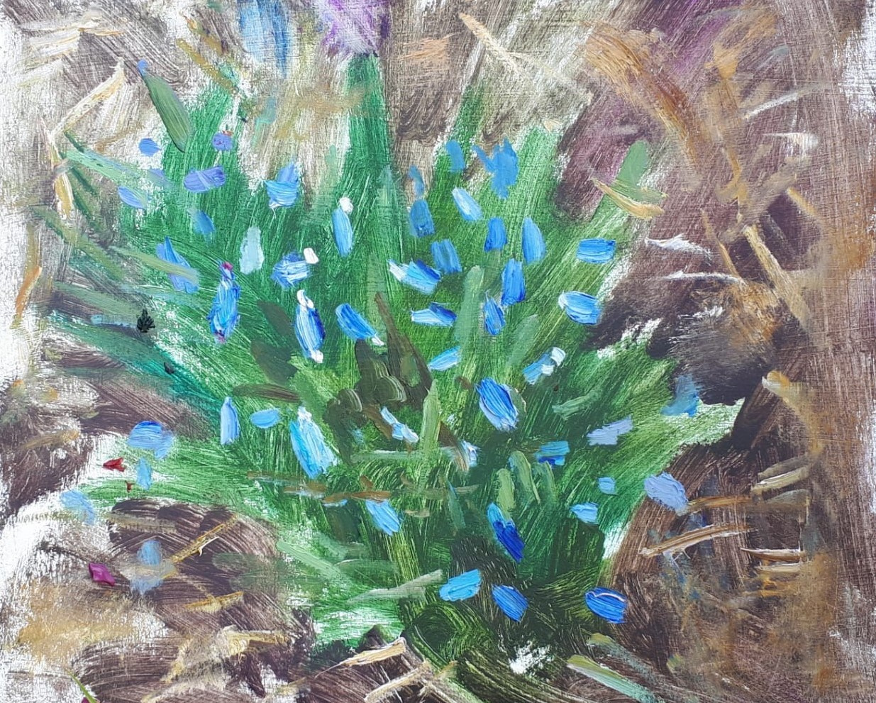 Сибирь, Байкал. Художник и гид по Камчатке Евгений Чайкин