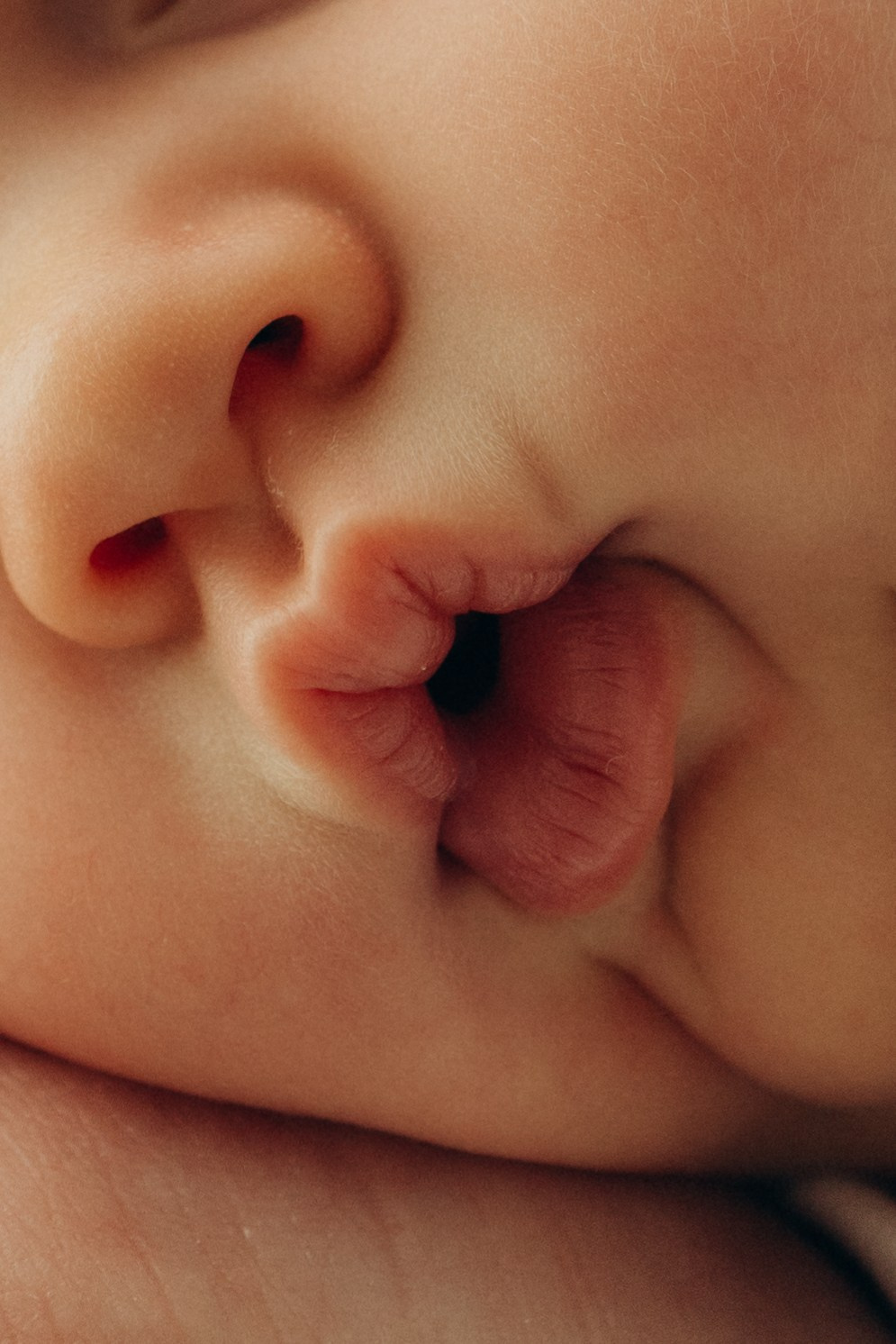 Домашние. Семейный фотограф и видеограф Наумова Анна