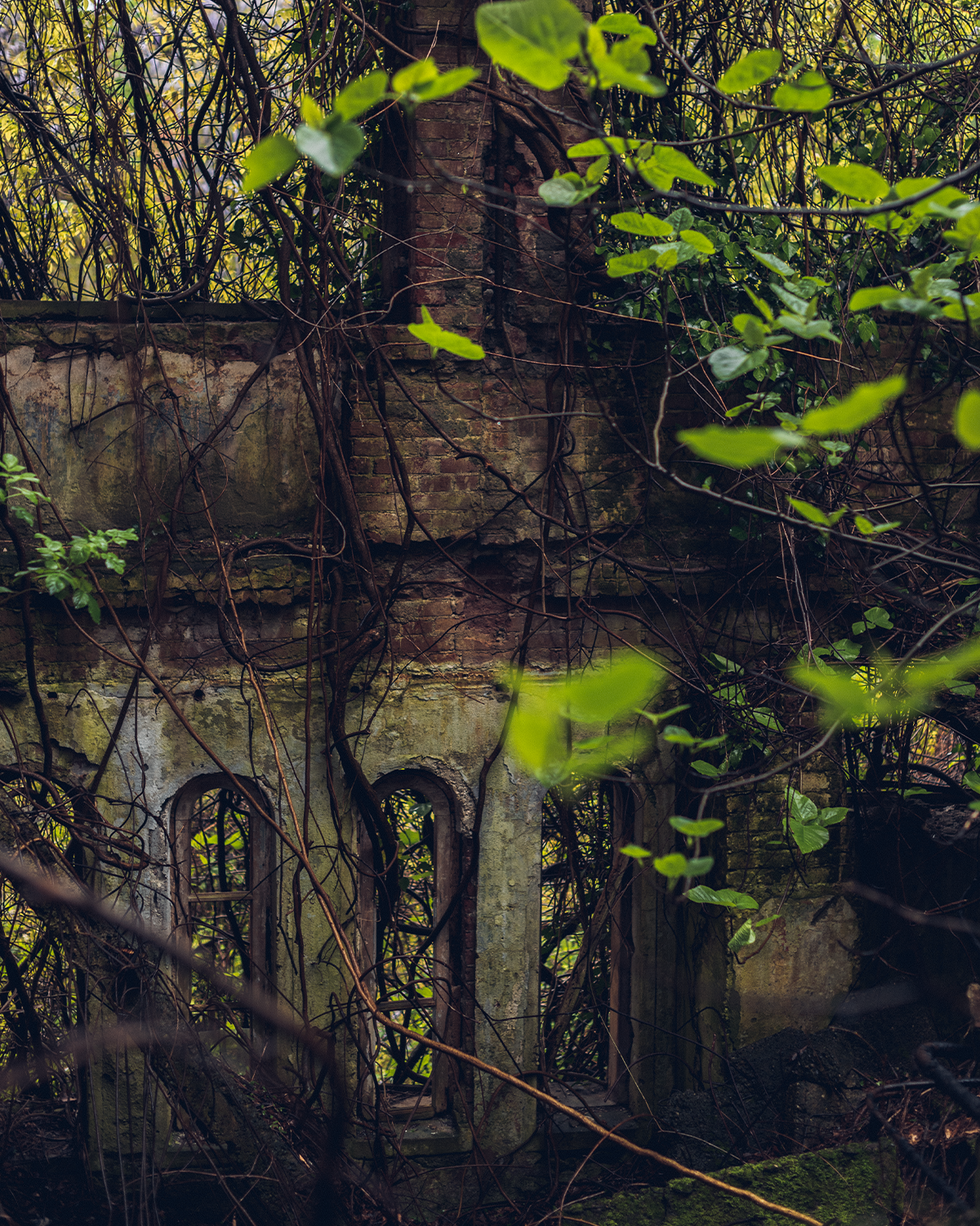 Абхазия в объективе: путешествие рекламного фотографа из Гуанчжоу. Коммерческий и предметный фотограф в Гуанчжоу Коваленко Александр