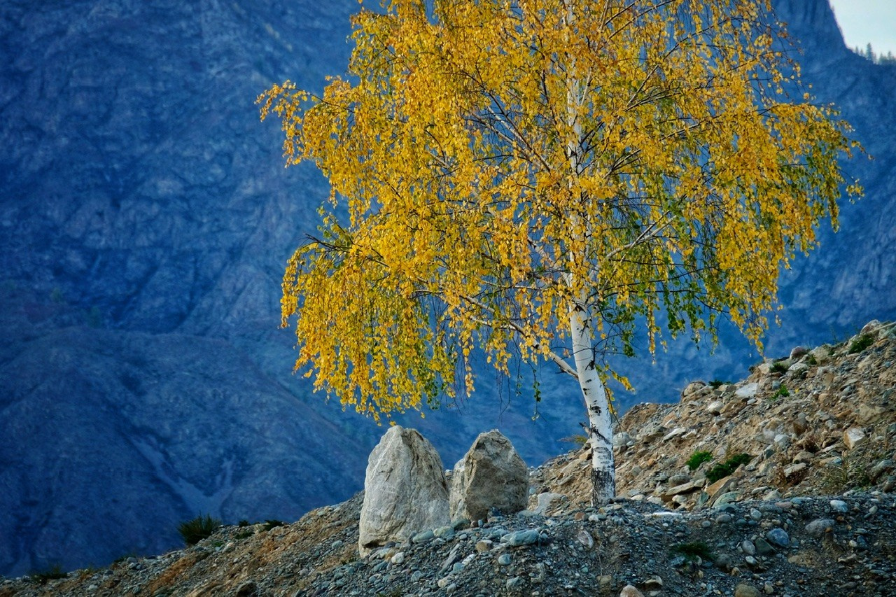 Алтай. Фотограф Евгений Андреев