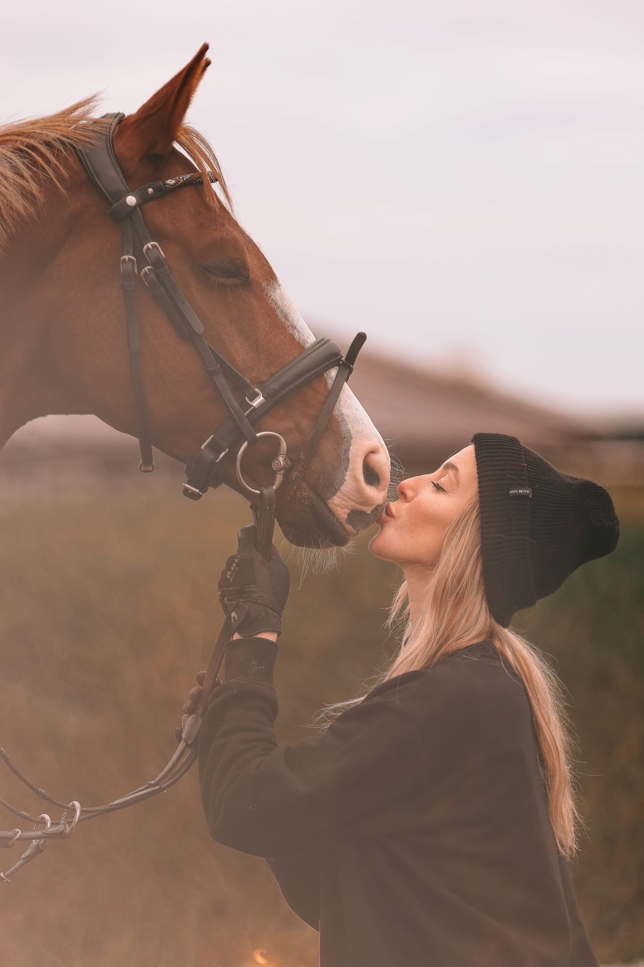 Фотосессия с лошадью, с лошадьми, лошади