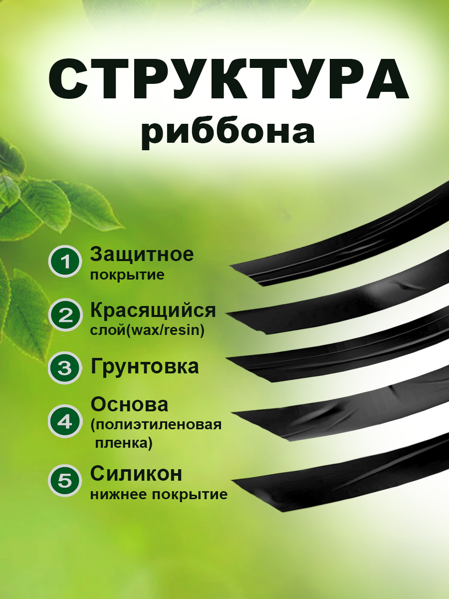 Инфографика. Предметный и фуд-фотограф в Москве Анна Царенко