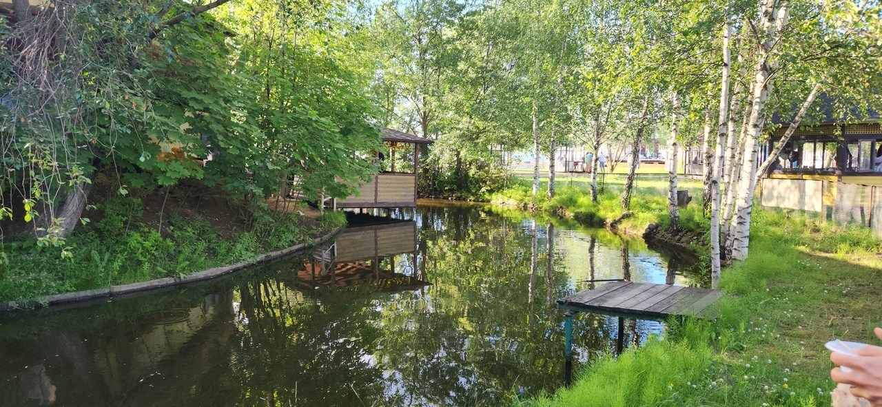 Шашлыки | 22.06.2024. Галерея Фантим