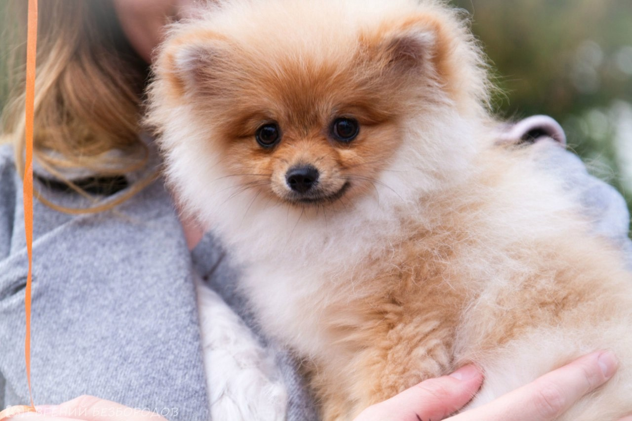 День рождения Фантима. 7 лет! | 21-22.05.2016. Галерея Фантим