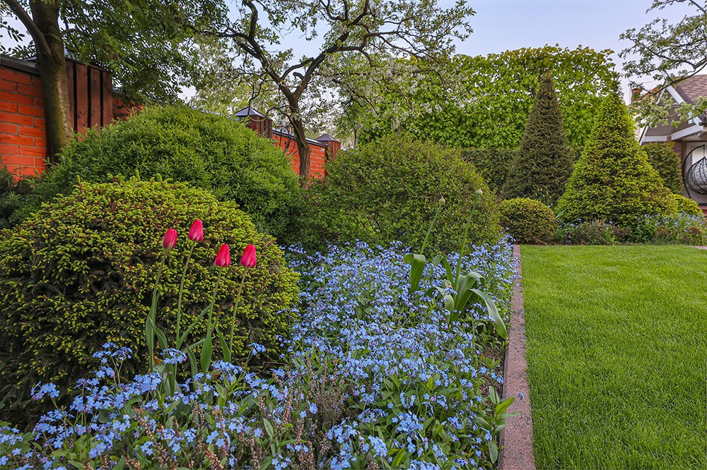 Сады. Ландшафтный фотограф Андрей Лысиков, Москва