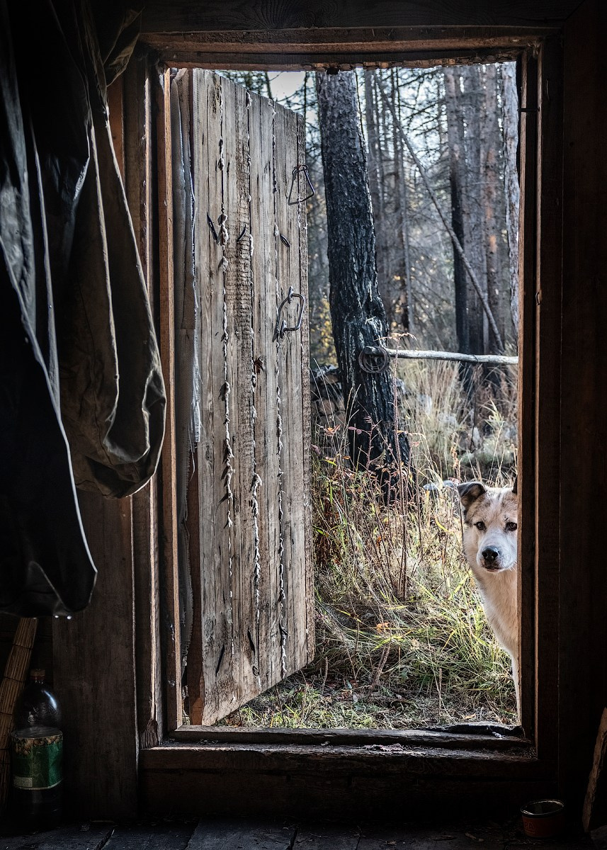 Атлас первого снега серия фотографий. Елена Аносова — художница и исследовательница, куратор и лектор