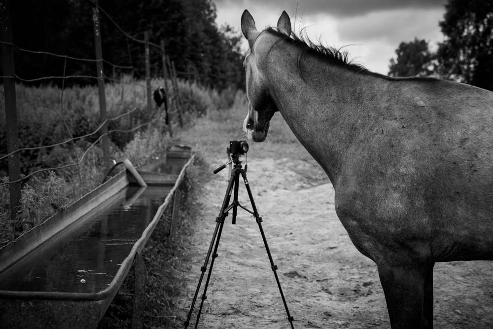 Фотограф Таня Ремизова