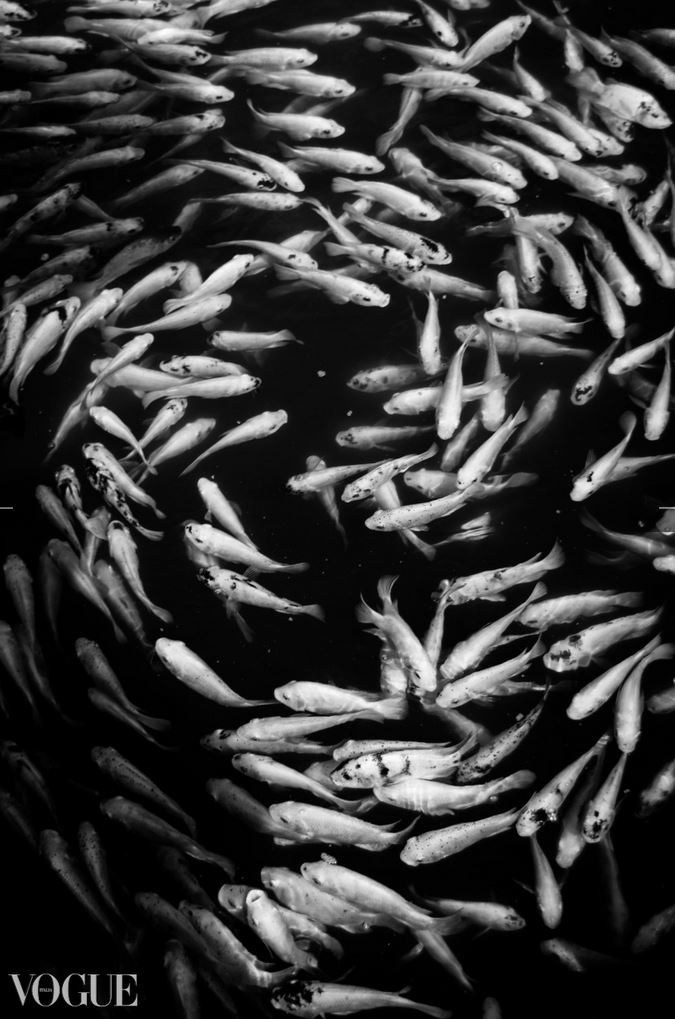 Фотограф Женя Грош в Москве