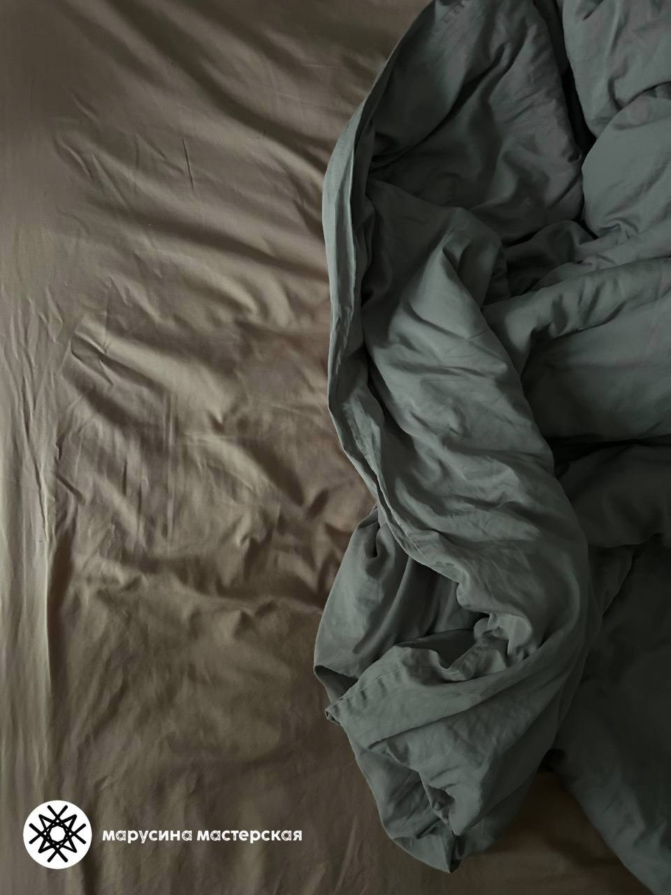 Анастасия Данилюк