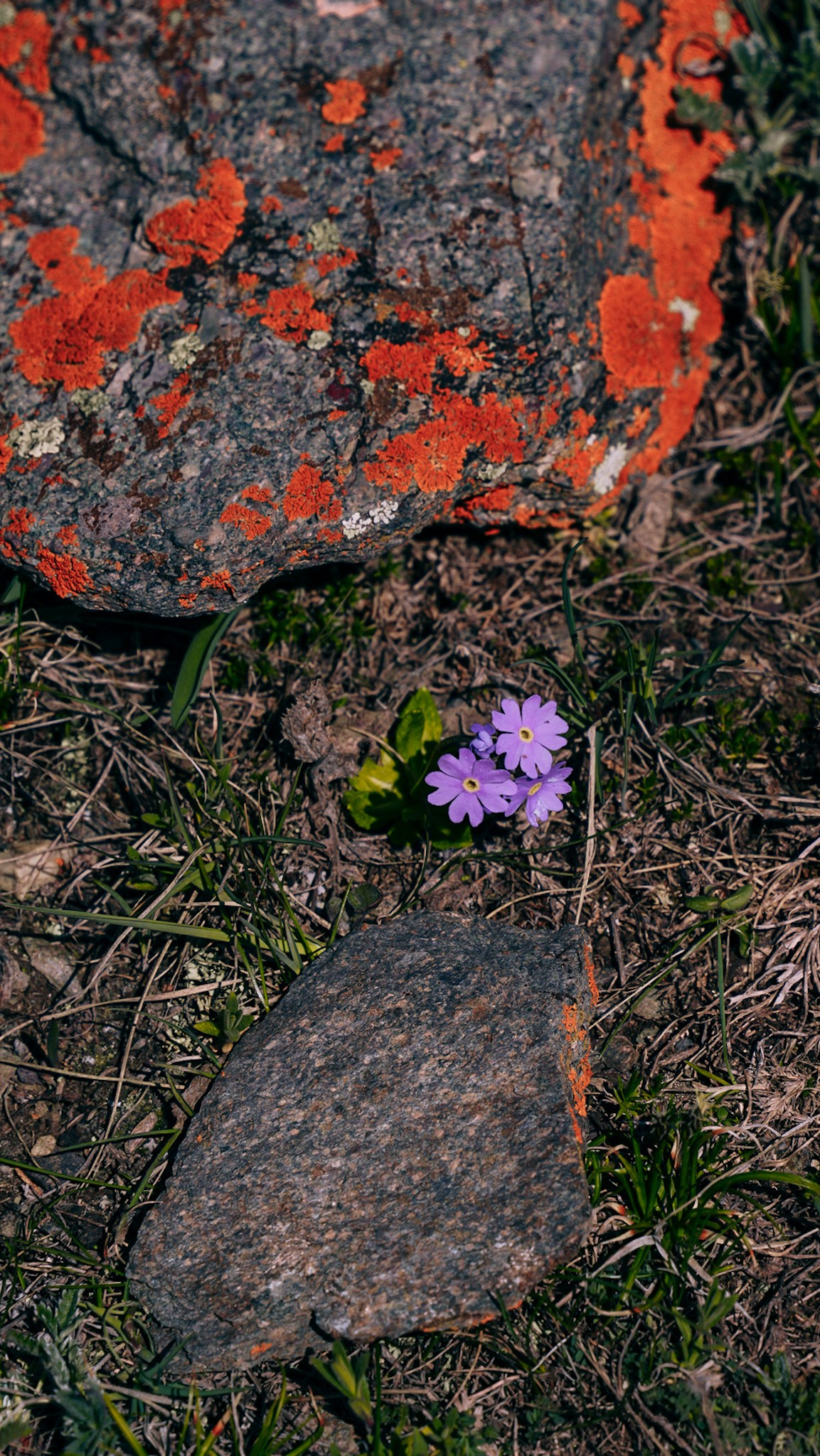 Кыргызстан. Человек с фотокамерой