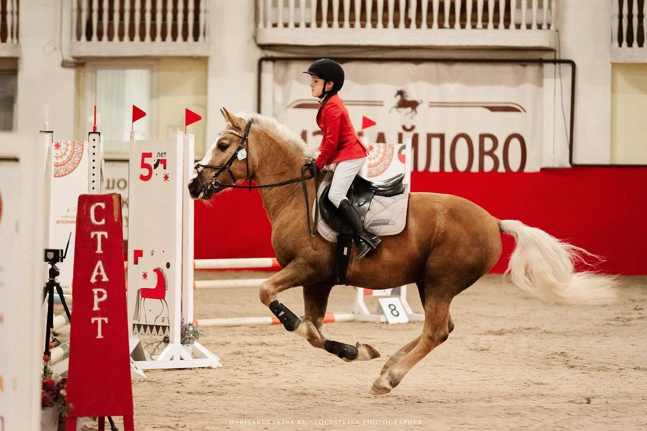«КУБОК ИМЕНИННИКА» КСК «Измайлово». Конный фотограф Куракина Дарья • Фотосессии с лошадьми