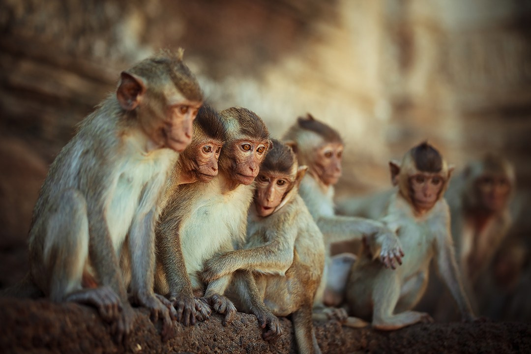 Фотограф в Казани — Александр Сафронов