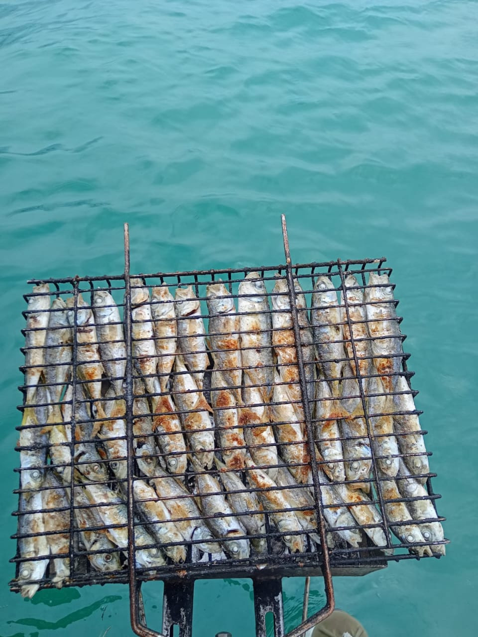 Рыбалка в сочи,день рождения на яхте в сочи,яхта в сочи прогулка,