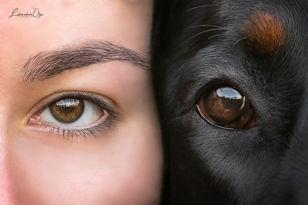 Фотограф анималист Ольга Луканенкова в Москве