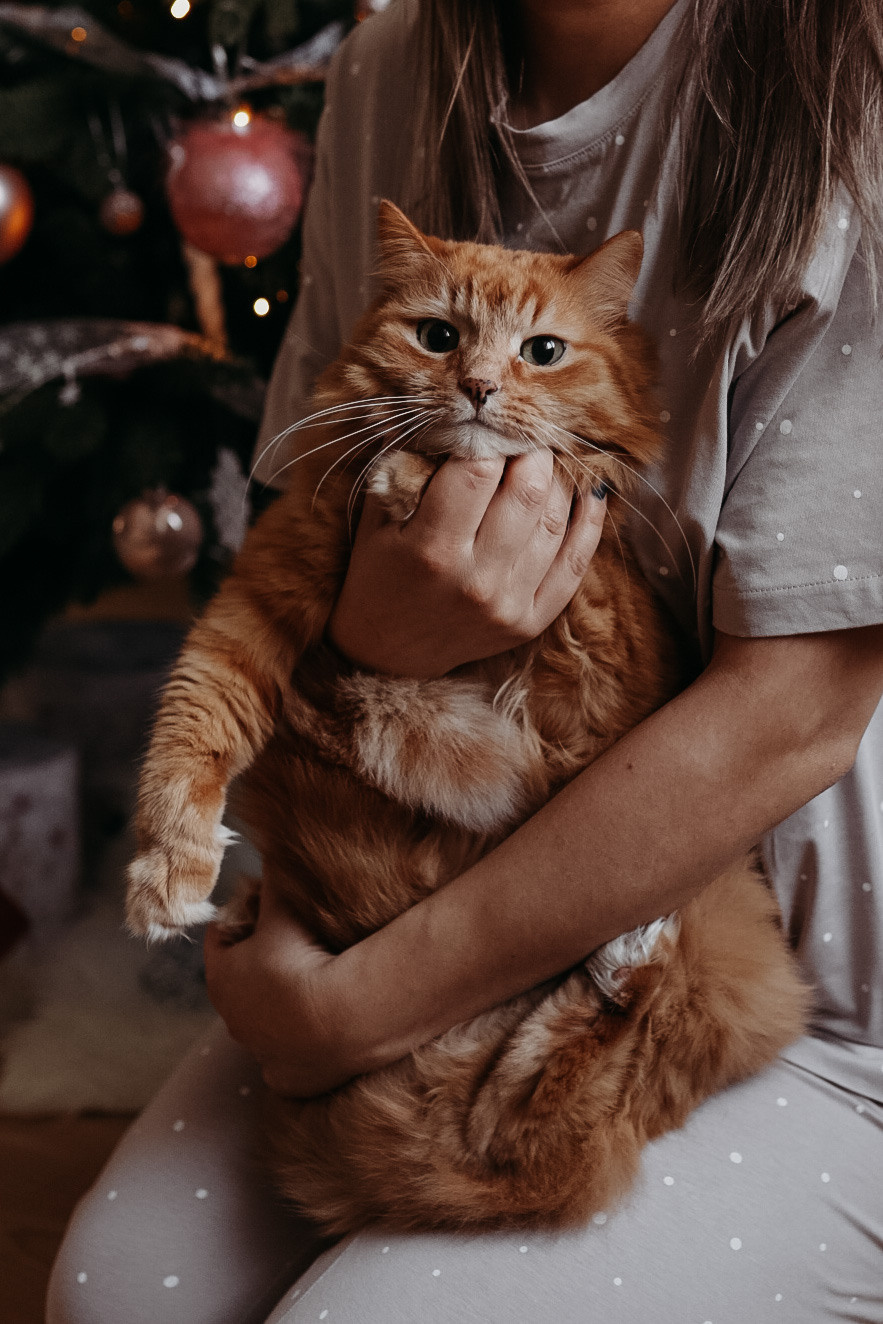 Оля, новогодняя домашняя съёмка. Семейный фотограф Москва