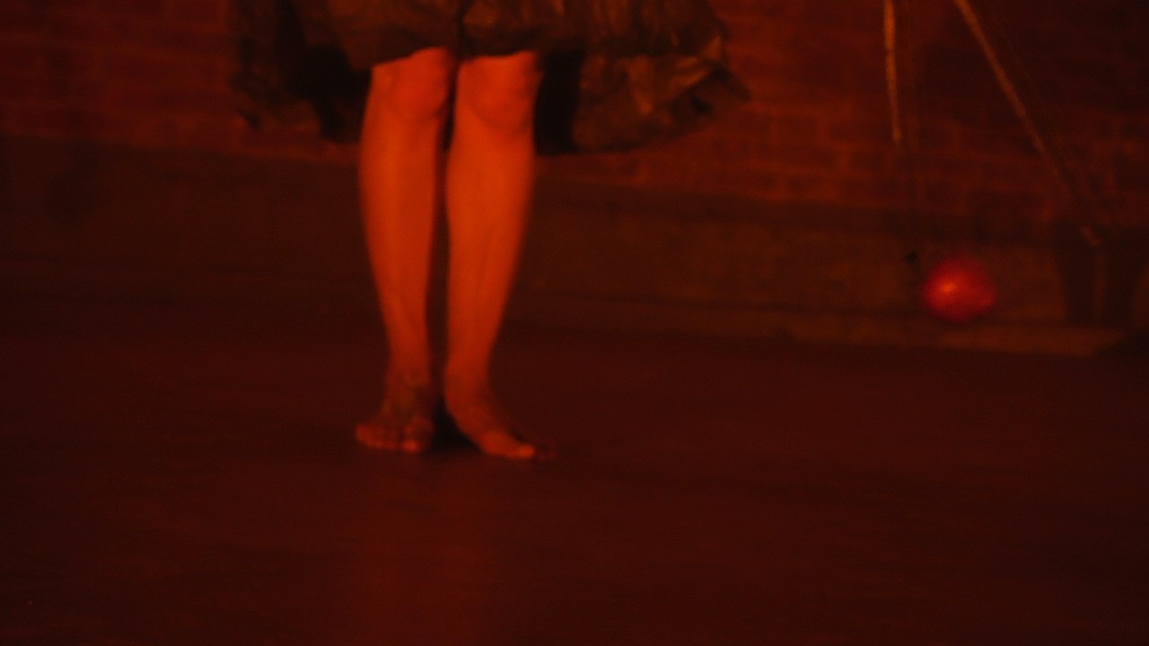 Красное дерево. Фото / Видеосъемка в Москве