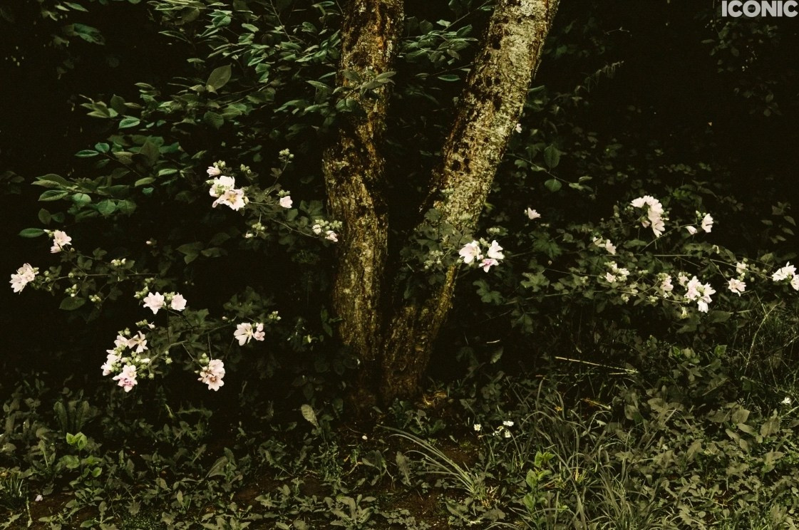 Iconic Artist. Фотографии Лены Соколовой