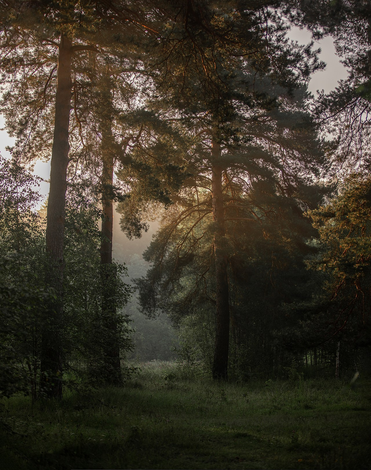 Архитектура. Пейзаж. Детская Конная фотография в Москве Юлия Шепелева
