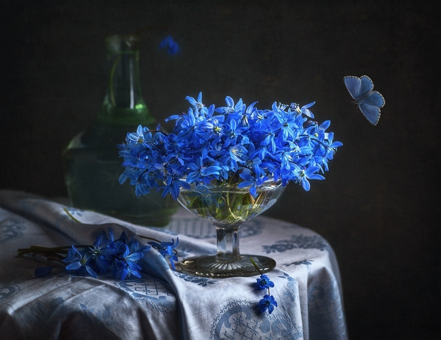 Натюрморт. Фотограф Елена Камынина