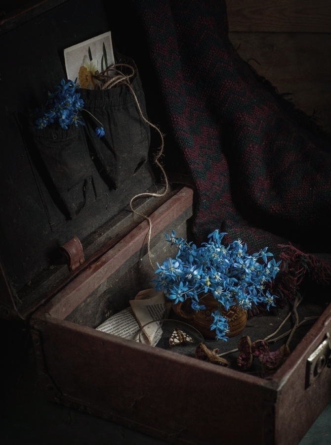 Натюрморт. Фотограф Елена Камынина