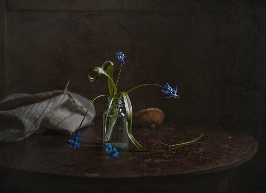 Натюрморт. Фотограф Елена Камынина