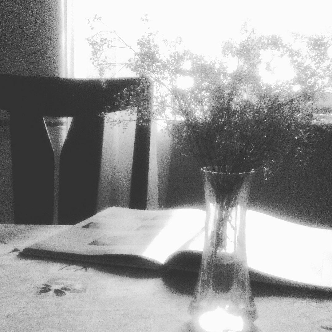 Натюрморт. Фотограф Елена Камынина