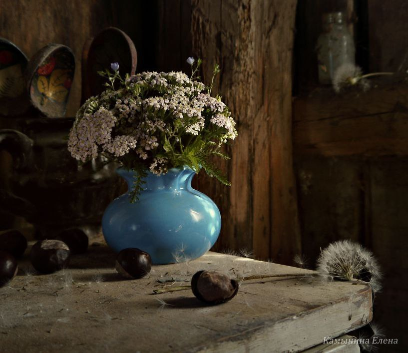 Натюрморт. Фотограф Елена Камынина