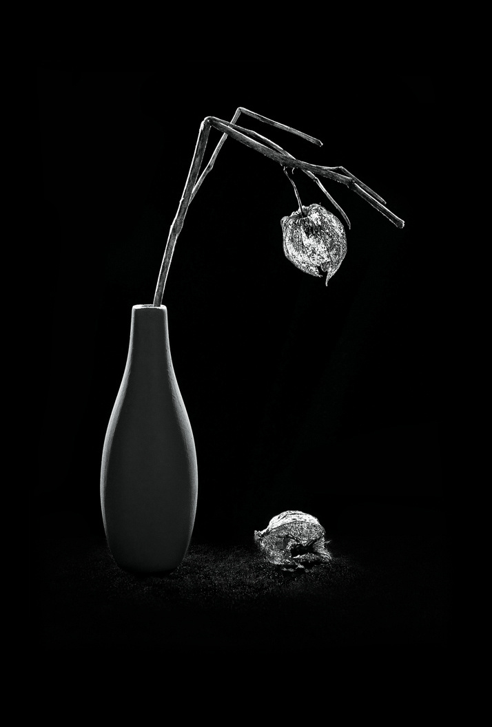 Натюрморт. Фотограф Елена Камынина