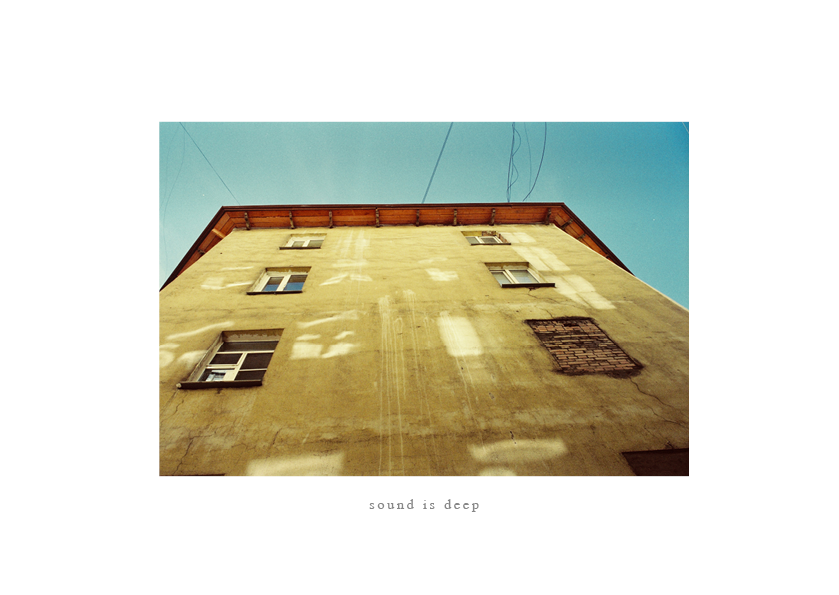 See into the trees — zine. Pictorial dream — fine art fil photography by Yaroslav Pavlov